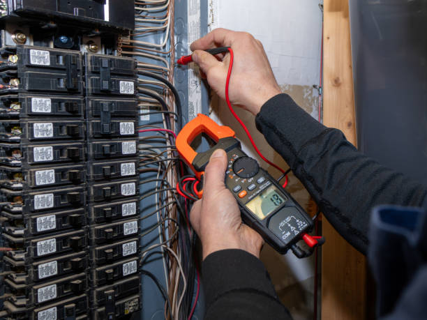 Best Electric Panel Repair  in Webb City, MO